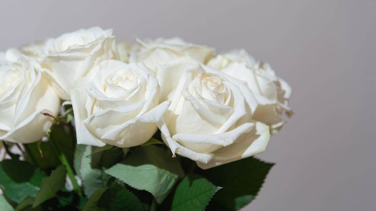 Как работает новая схема мошенников, когда дарят букет от неизвестного поклонника