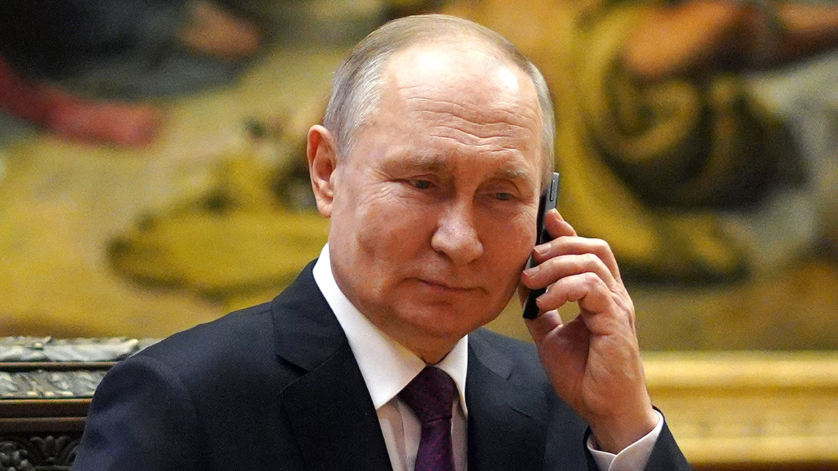 «Огурчиков пришлешь?»: Путин поговорил с восьмилетней победительницей акции «Елка желаний»