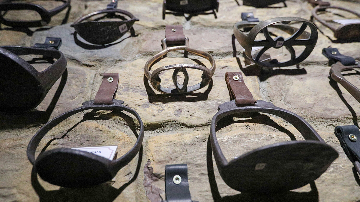 Хоббихорсинг требуют запретить признавать официальным видом спорта в России