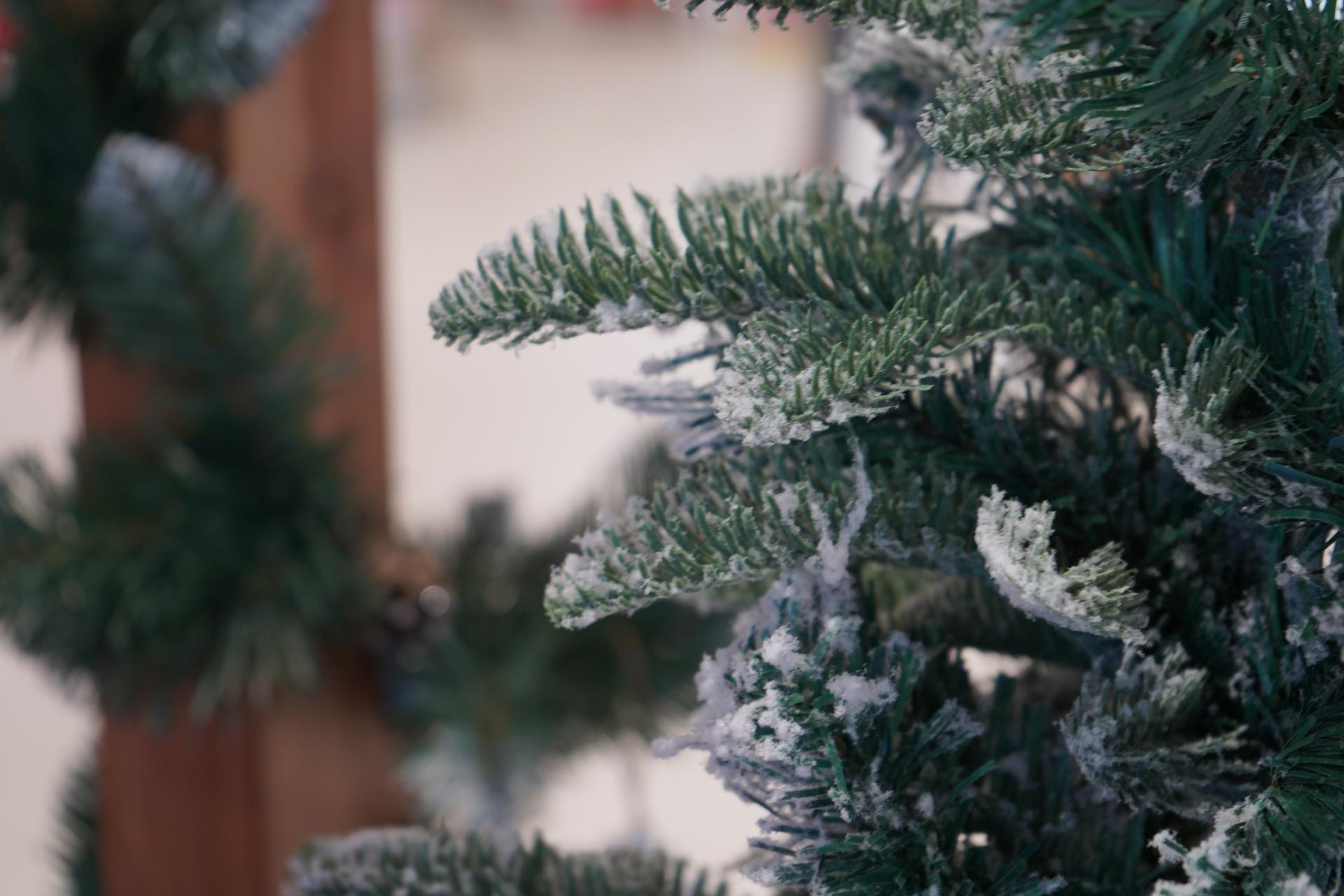 Дизайнер Кротова рассказала, как нарядить елку съедобными украшениями