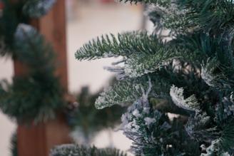 Дизайнер Кротова рассказала, как нарядить елку съедобными украшениями