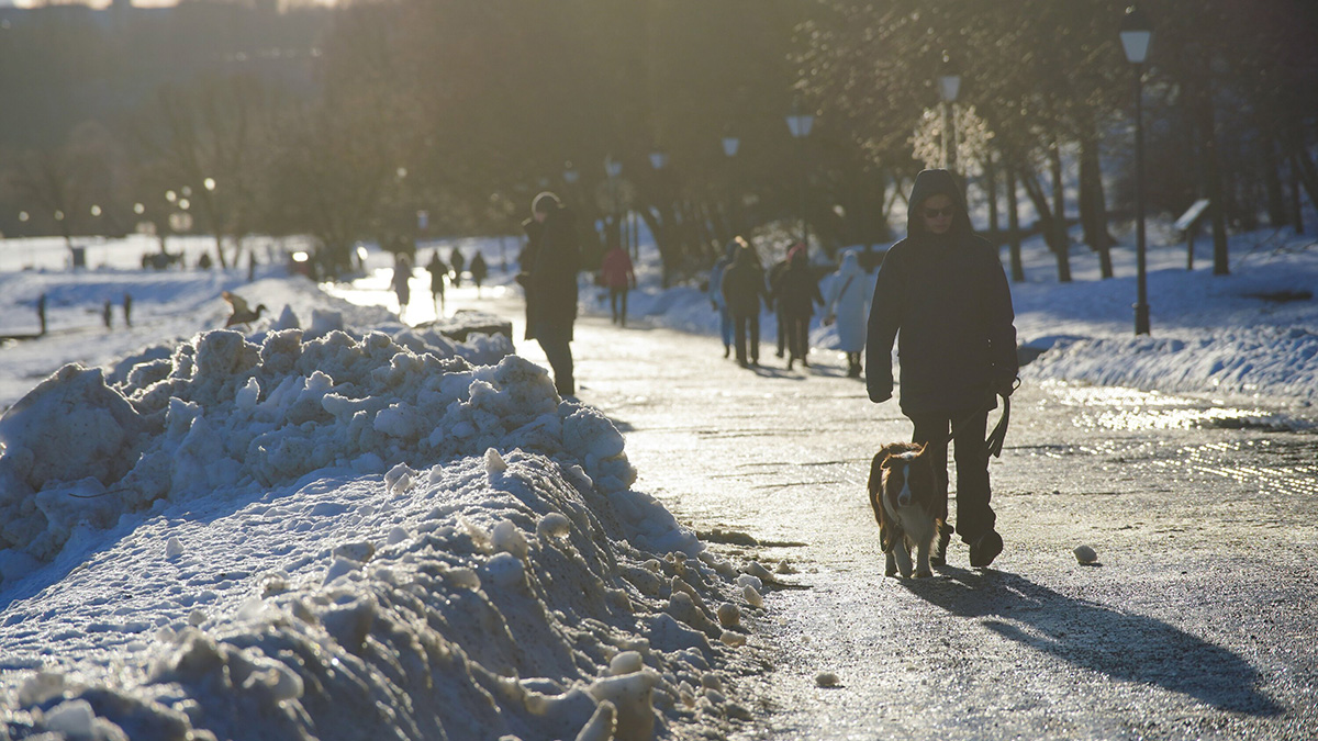 Синоптики рассказали о заморозках в Москве и Подмосковье 5 января