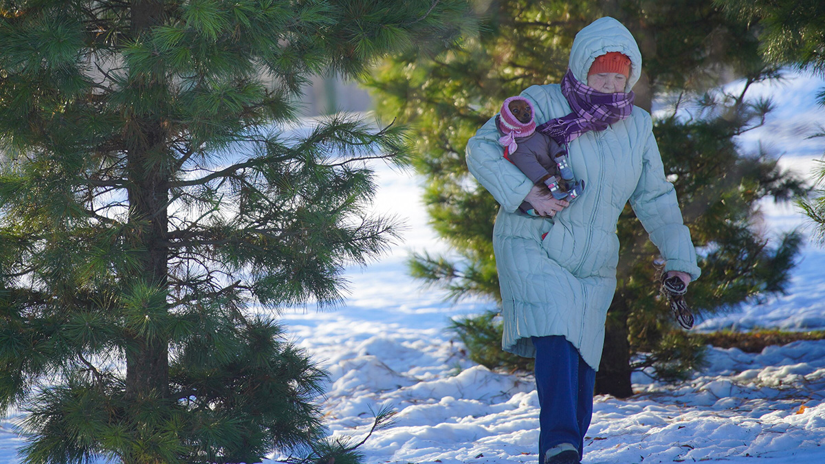Синоптики пообещали москвичам морозную погоду 8 января
