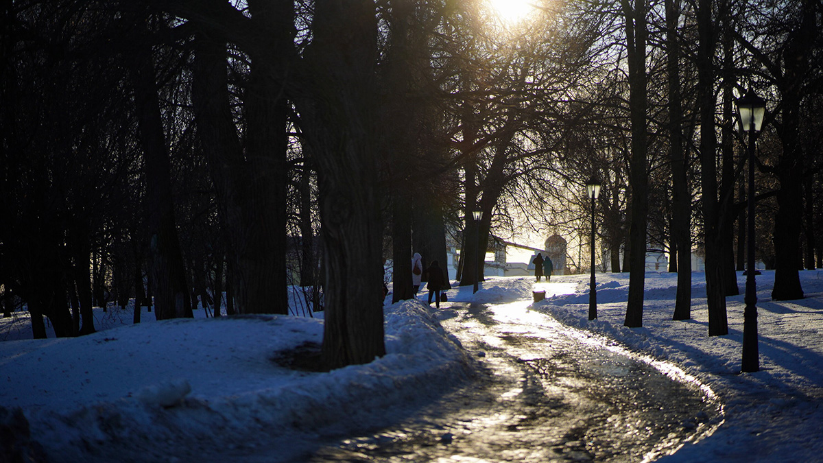 Синоптики спрогнозировали потепление в столичном регионе 14 января