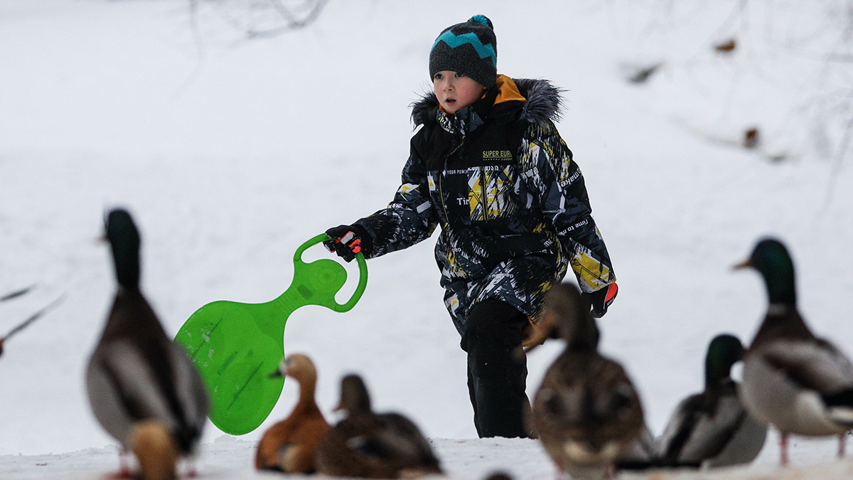 Вильфанд рассказал, когда в Москве ослабнут морозы 
