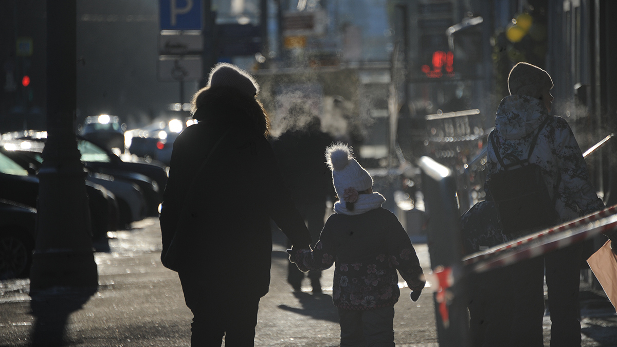 В Гидрометцентре спрогнозировали потепление в Москве до нуля градусов к концу недели