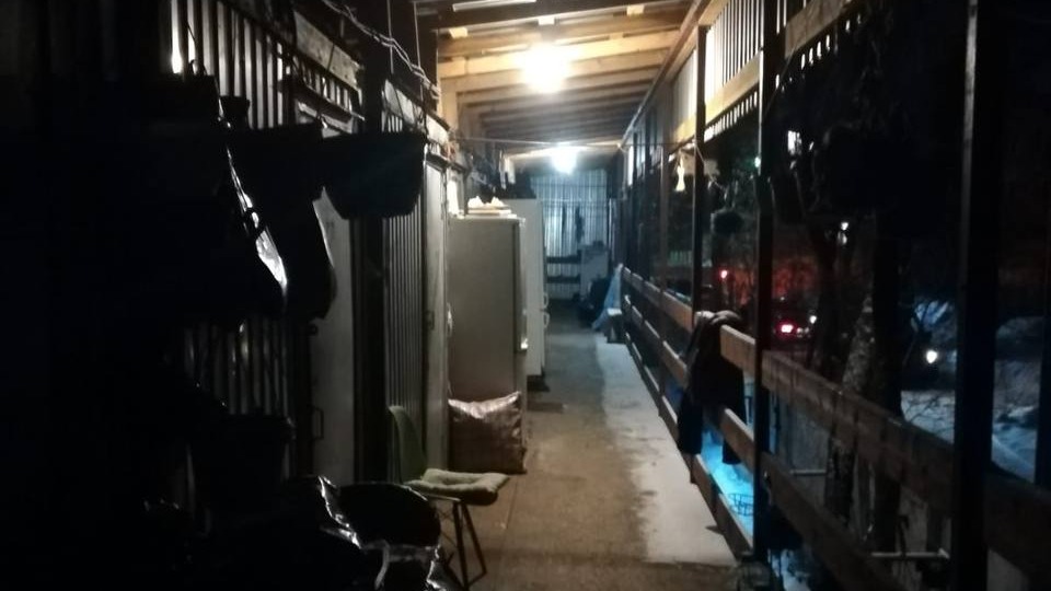 Убийство в Рождество: мужчина зарезал знакомого в бытовке на востоке столицы