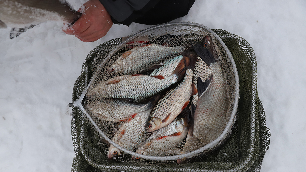 Опубликован рейтинг пяти лучших мест для зимней рыбалки в Нижегородской области