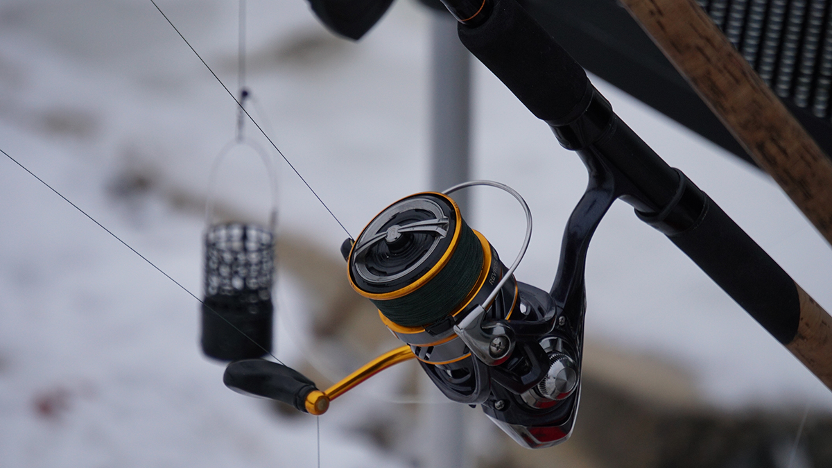 Рыбаки поймали в Москве-реке «монстра» весом 15 килограммов