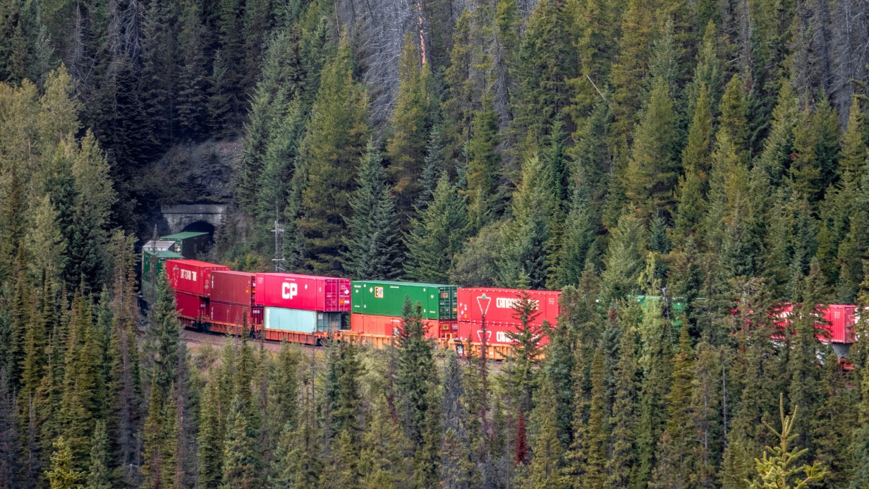 Bloomberg: Россия способна перекрыть Европе доступ к металлам из Китая