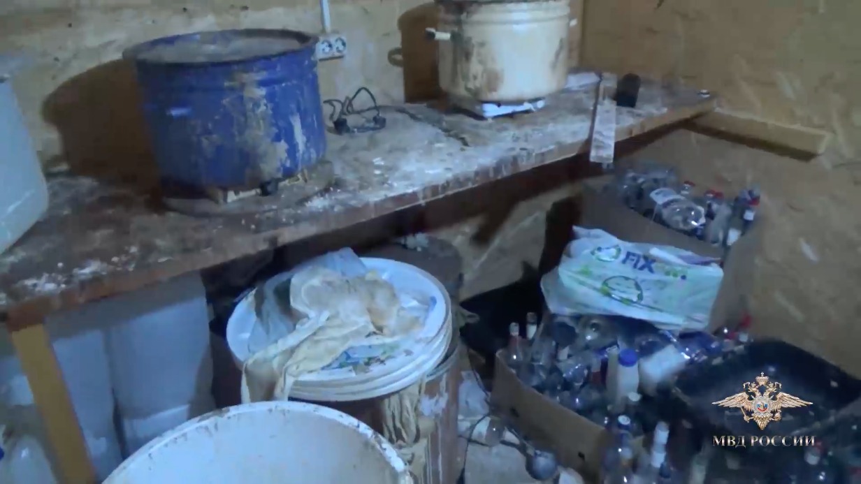 Полицейские в Ярославской области обнаружили в частном доме нарколабораторию, стаю собак и обезьяну