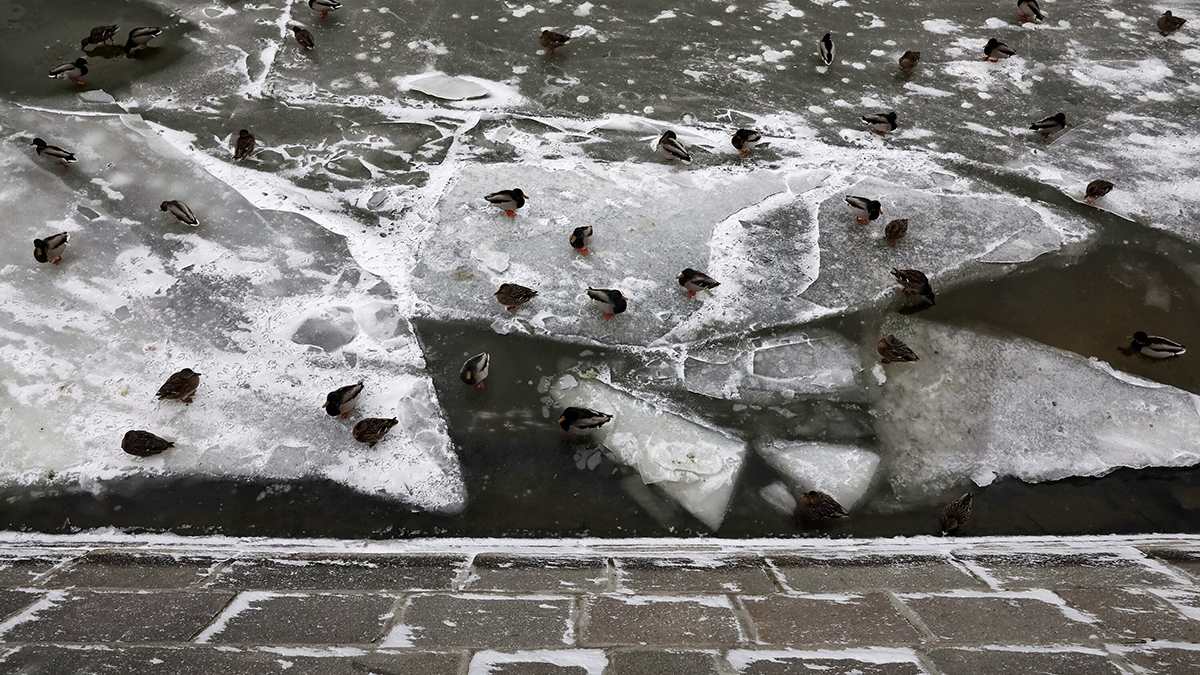 Противопаводковые барьеры установили на двух набережных в центре Москвы