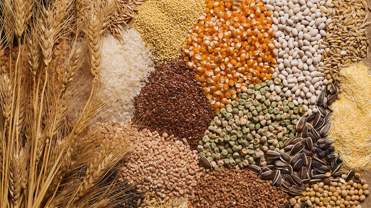 Диетолог Соломатина назвала лучшие продукты для защиты кишечника от рака