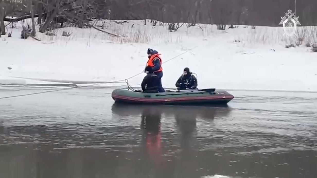По факту гибели девочки в Павловском Посаде возбуждено уголовное дело