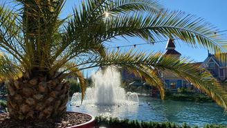 Что посмотреть и куда сходить в Сочи