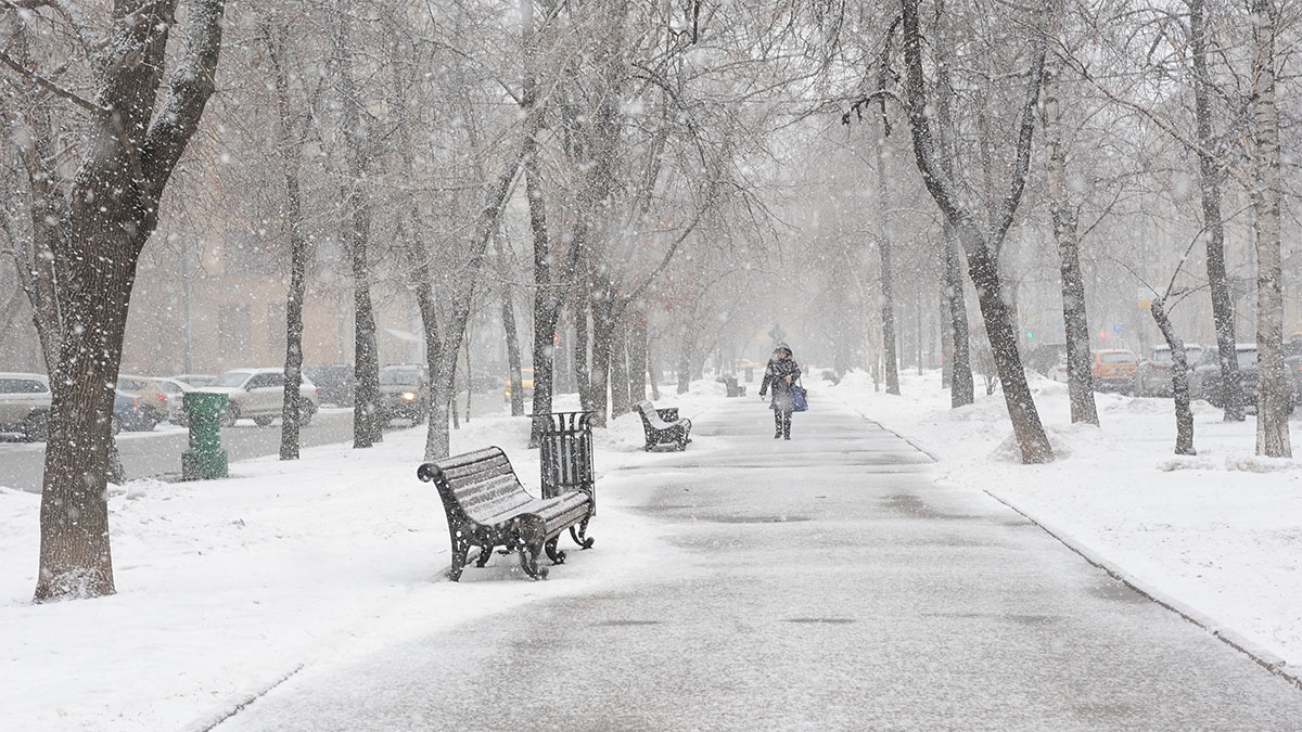 Снегопад обрушился на Москву