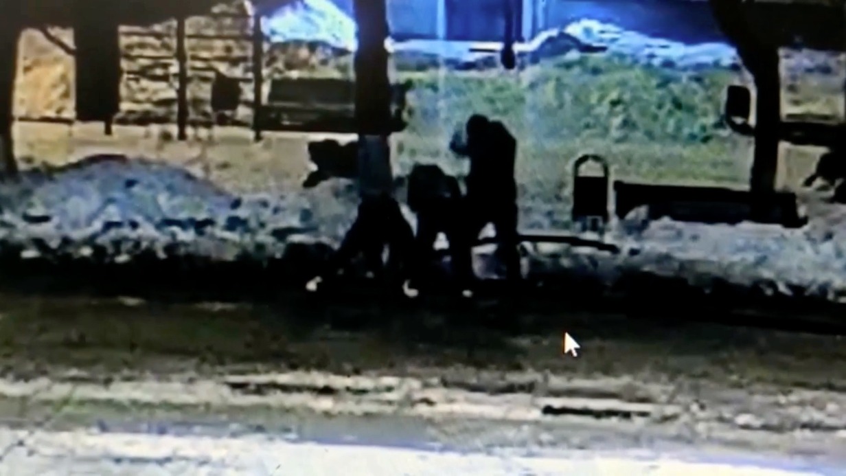 Трое мужчин в Подмосковье украли более 500 метров телефонных проводов