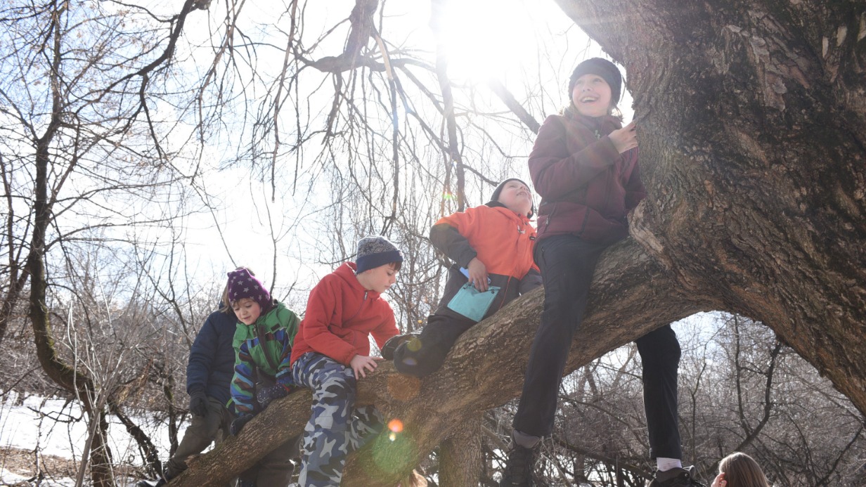 Слева направо: Антон Мухин, Пелагея и Руслан Мироновы, Вадим и Варвара Коротины гуляют в заснеженном парке «Коломенское»
