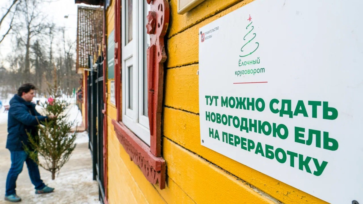 Около 40 тысяч хвойных деревьев сдали москвичи в рамках акции «Елочный круговорот»