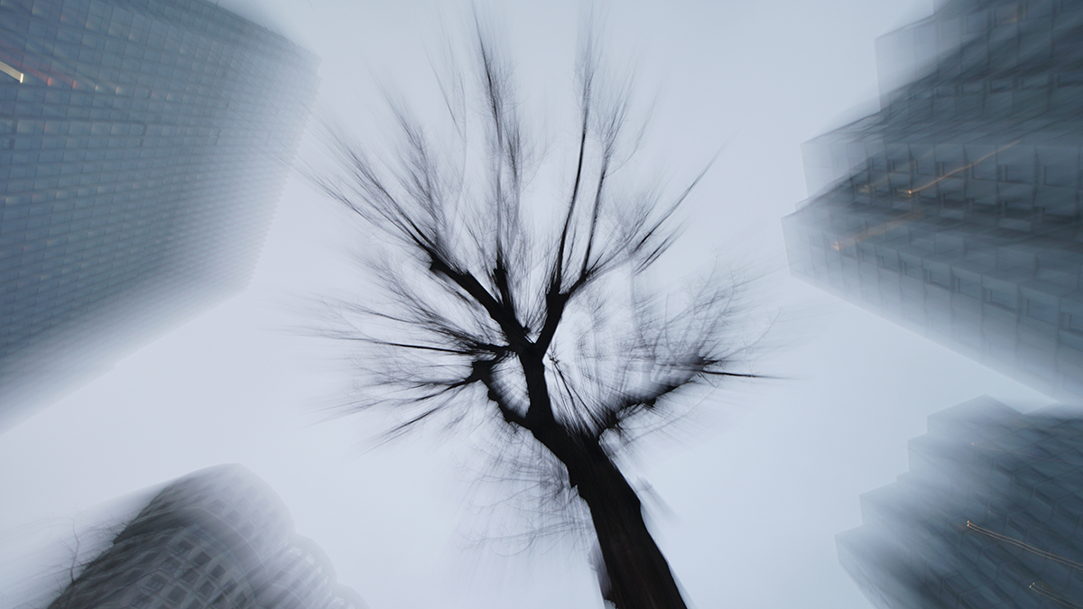 Москвичей предупредили о густом тумане и ухудшении видимости в ночь на 25 июня