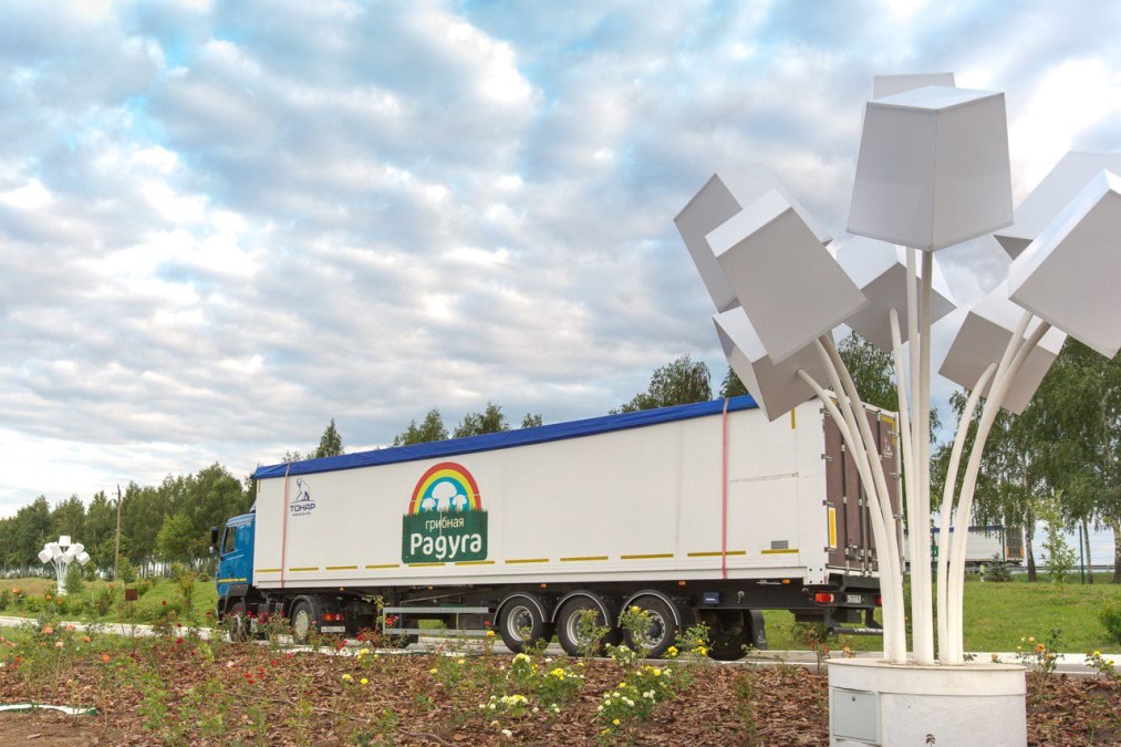 Продукция «Грибной радуги» свежей доставляется на прилавки