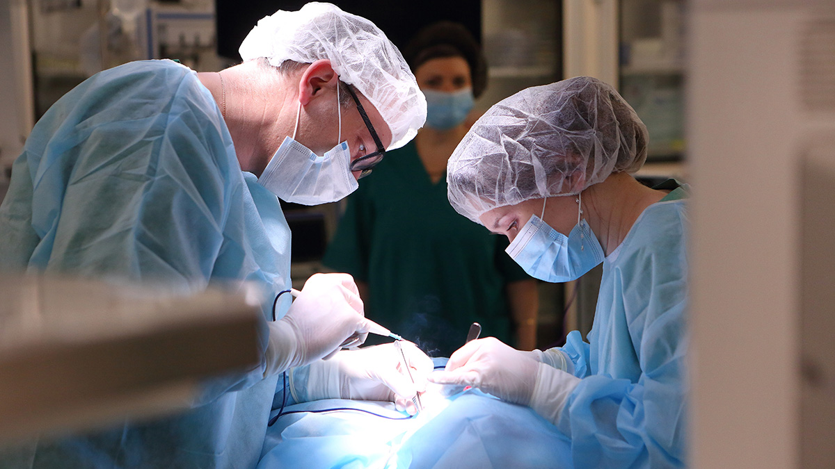 Сергей Собянин подвел итоги первого месяца работы флагманского центра Больницы имени В. В. Вересаева 