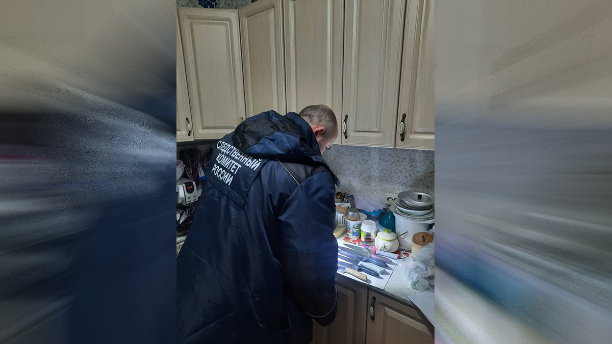 Женщина зарезала племянницу из-за ссоры на юго-западе Москвы