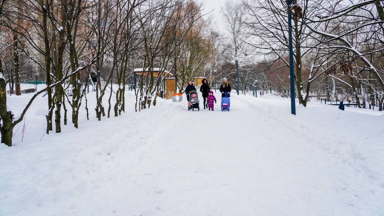 Столичные службы создадут систему пешеходной навигации в парке «Яуза» весной 2023 года