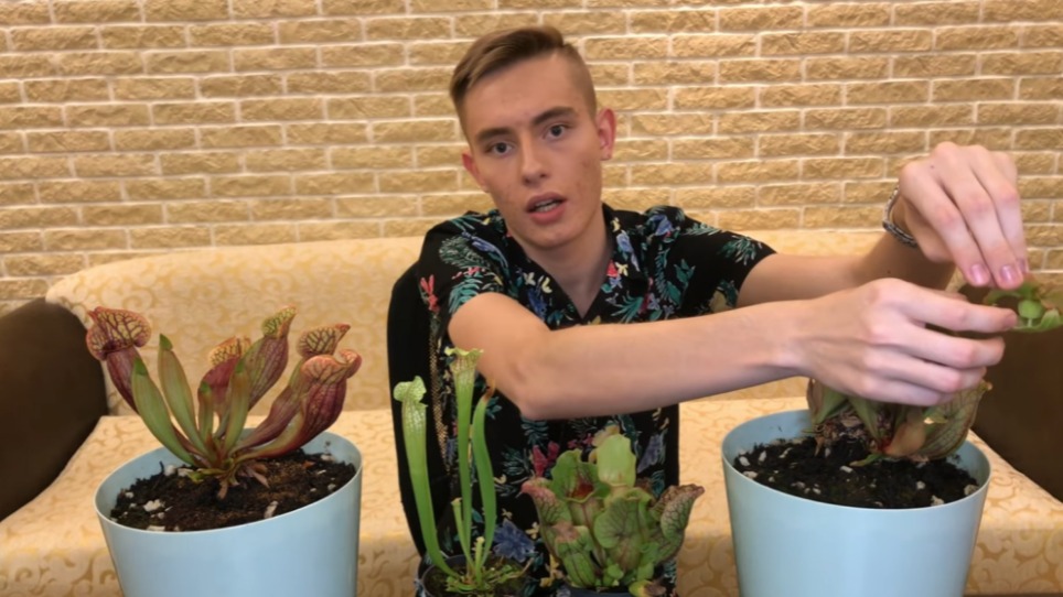 Денис Машков увлекся хищными растениями более 10 лет назад