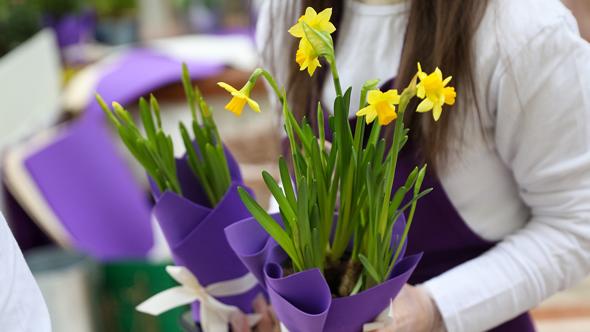 Психолог Сулим посоветовала, как с пользой провести Международный женский день