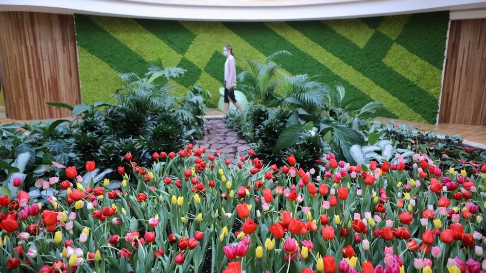 Около четырех тысяч мероприятий прошло в экоцентре «Цветоводство» с момента открытия