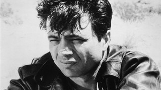 Скончался актер Роберт Блейк, обвиненный в убийстве жены