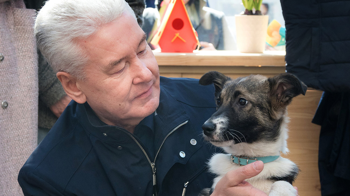 Сергей Собянин: Более 180 видов услуг предоставляется в ветеринарных клиниках Москвы