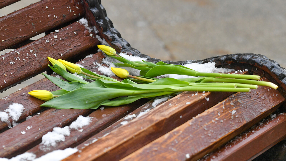 «Не та весна, которую ждали»: Вильфанд рассказал о погоде в Москве на этой неделе
