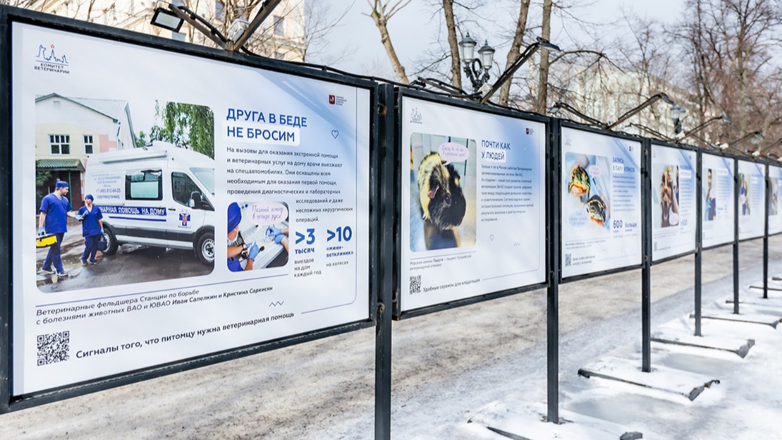 Выставка «Москва заботится о ваших питомцах» открылась на Тверском бульваре и в Екатерининском парке