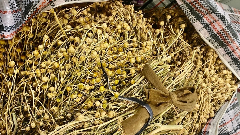 В Домодедове трое пассажиров пытались провезти 44 килограмма сушеных наркотических растений