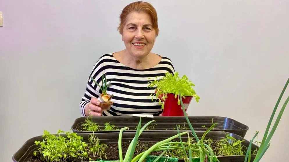 В центрах московского долголетия стартовал флешмоб садоводов «Огород на подоконнике»