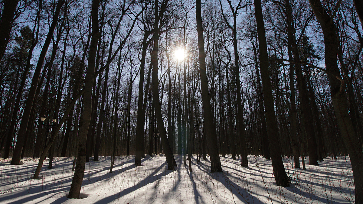 Какой будет начало весны в Москве 2025