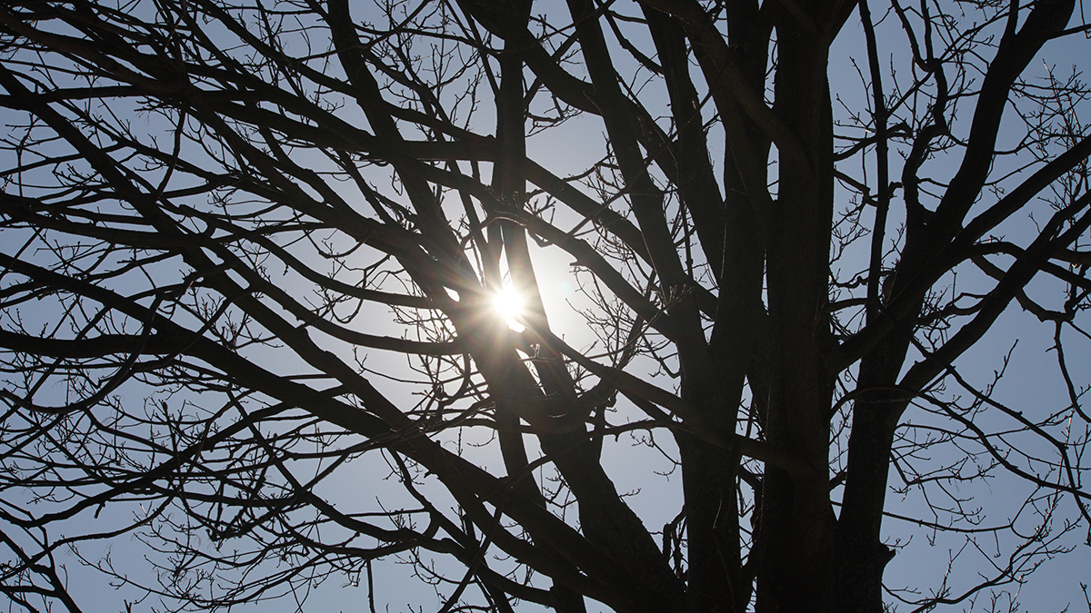 Как правильно встретить первый день весны