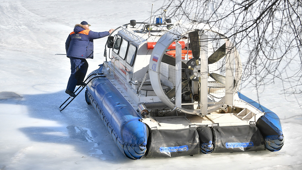 Рыбаки спасли лося от гнавшегося за ним медведя на Дальнем Востоке