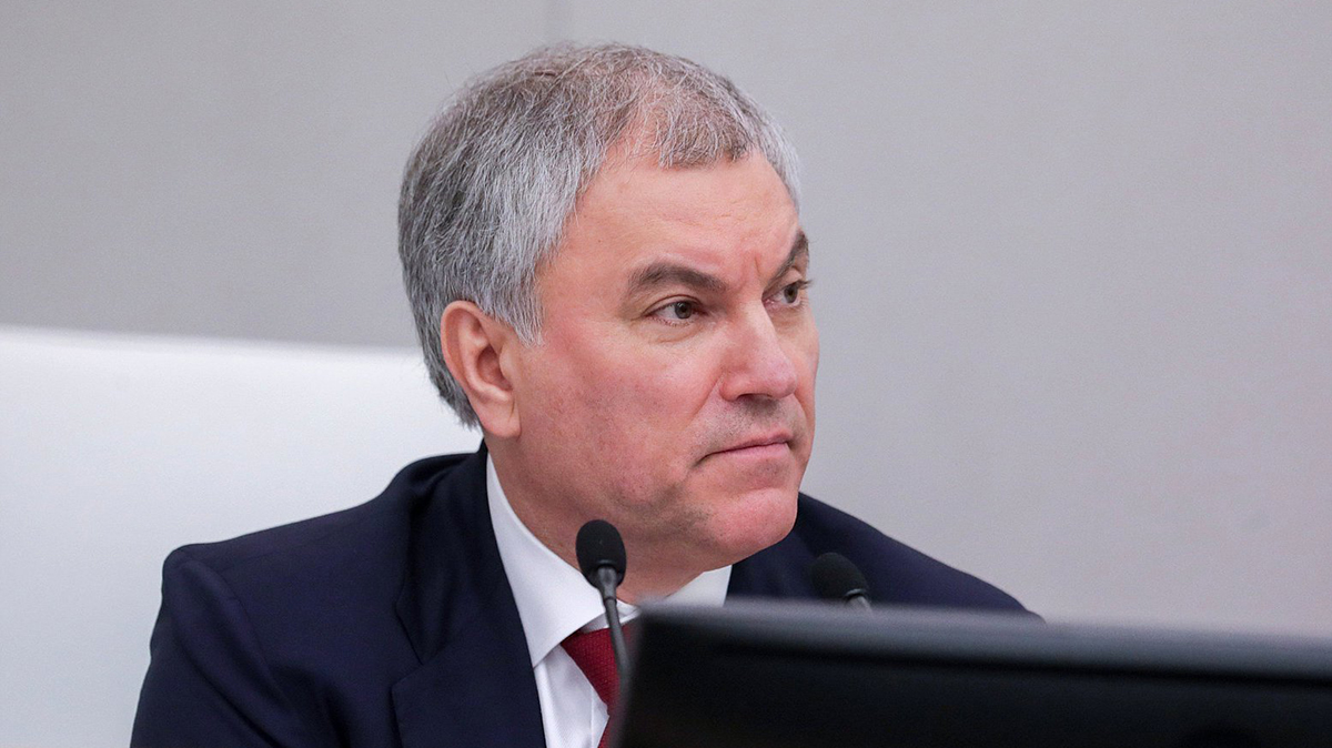 Володин призвал запретить работу МУС в России