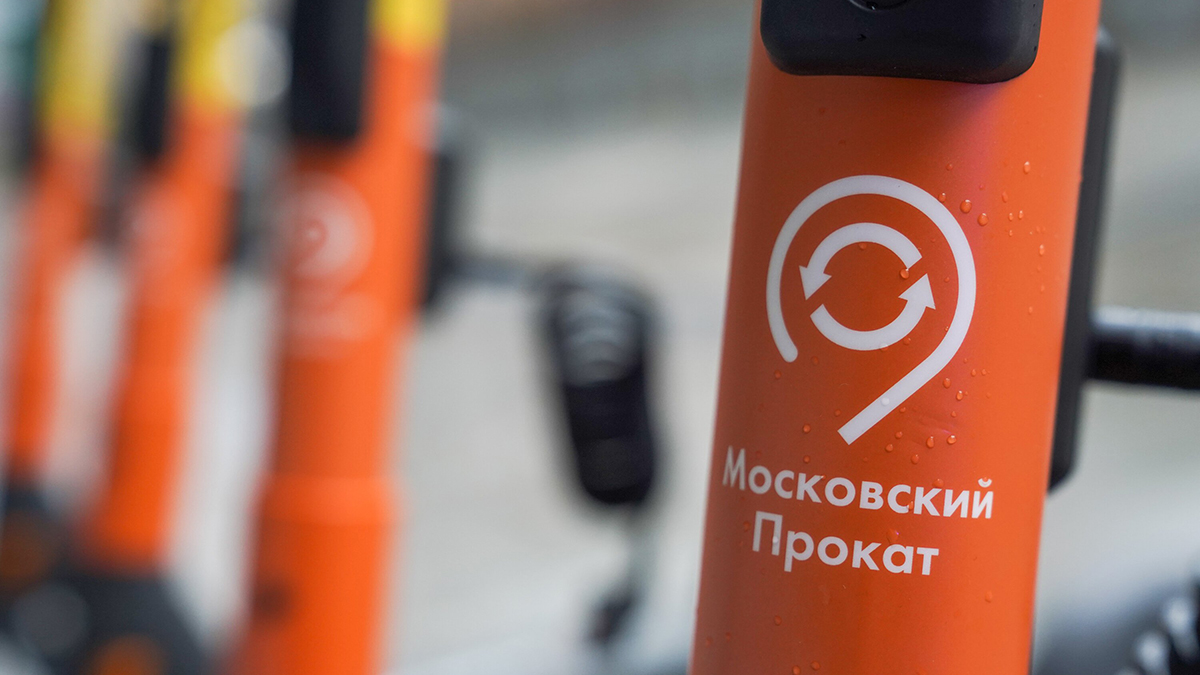 Эксперт Яблоков предложил усилить контроль за пользователями электросамокатов