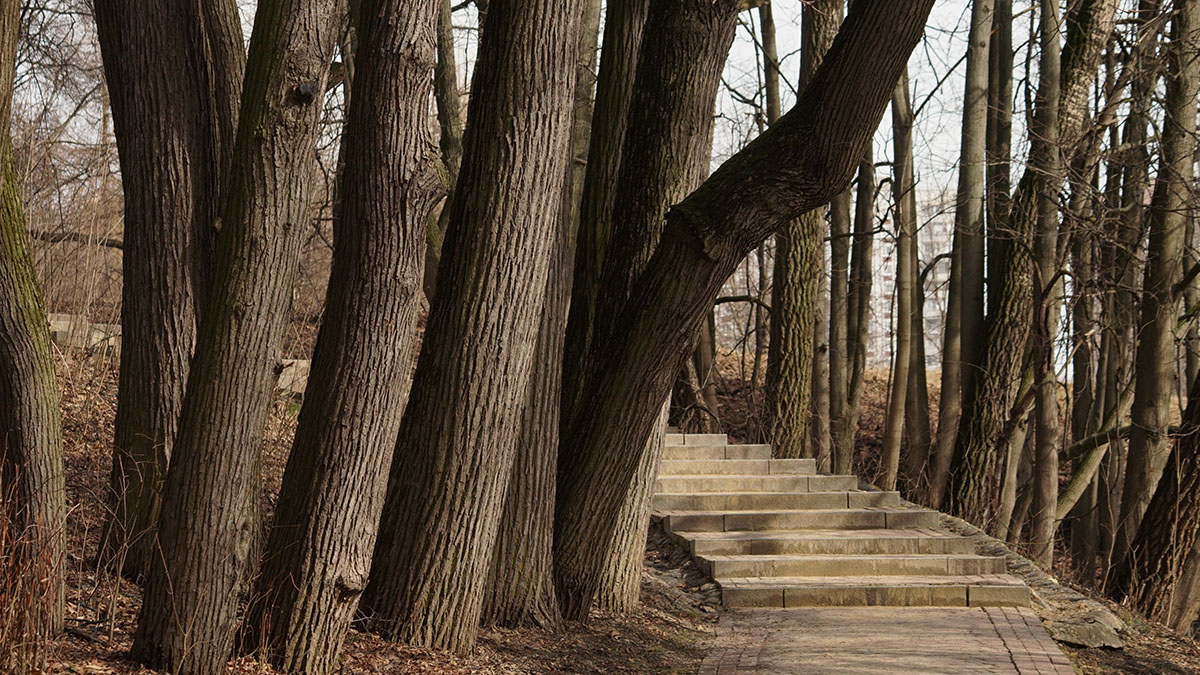 Народный календарь. Что нельзя делать в день Евдокии Свистуньи, 14 марта