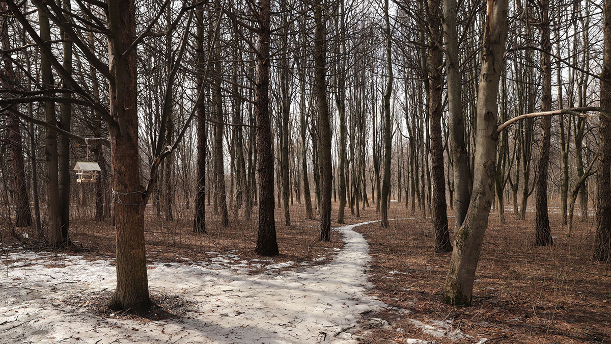 Придет ли в Москву ранняя весна