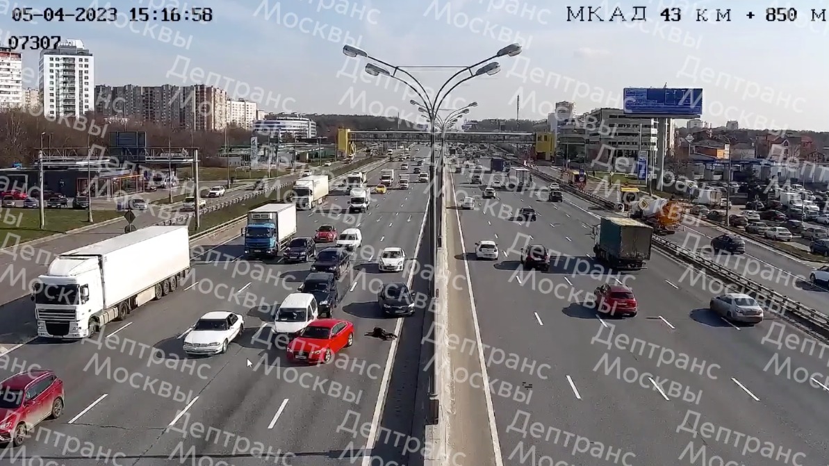Автомобиль сбил пешехода, который перебегал МКАД на юго-западе столицы