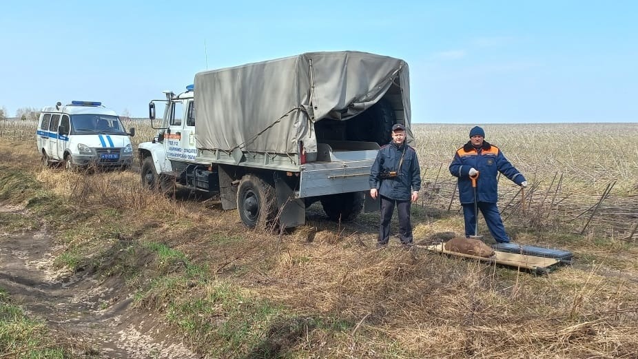В Курской области обнаружили 100-килограммовую авиабомбу