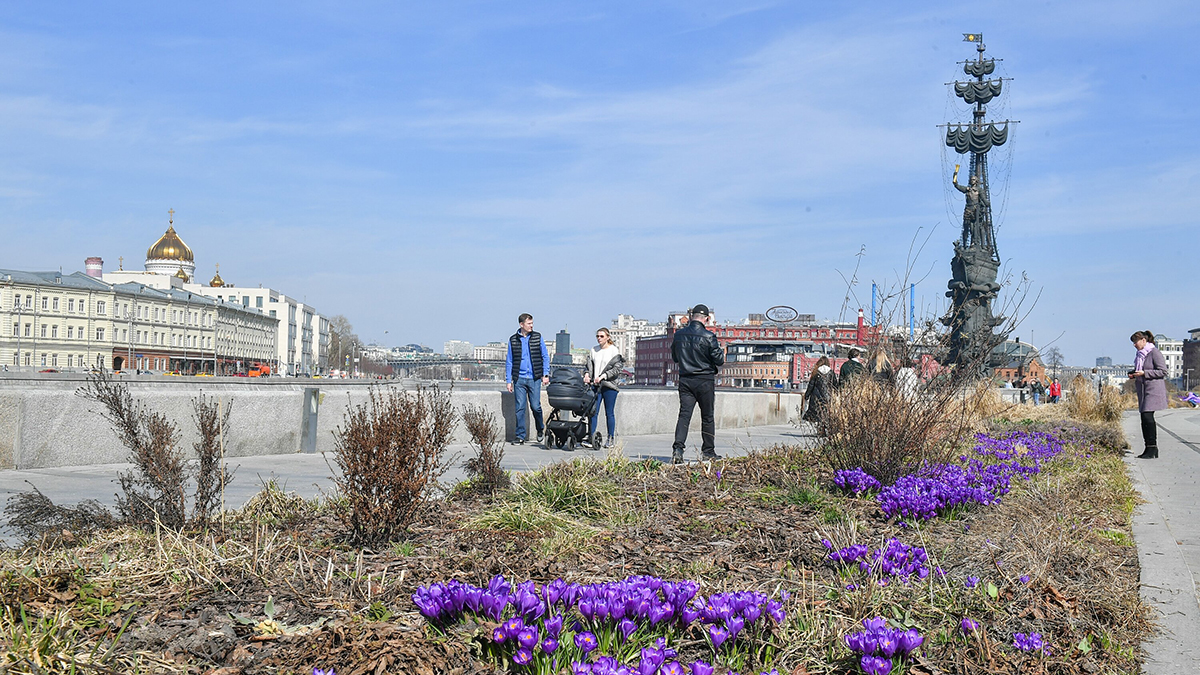 Синоптики пообещали жителям Москвы солнечную и теплую погоду 12 апреля