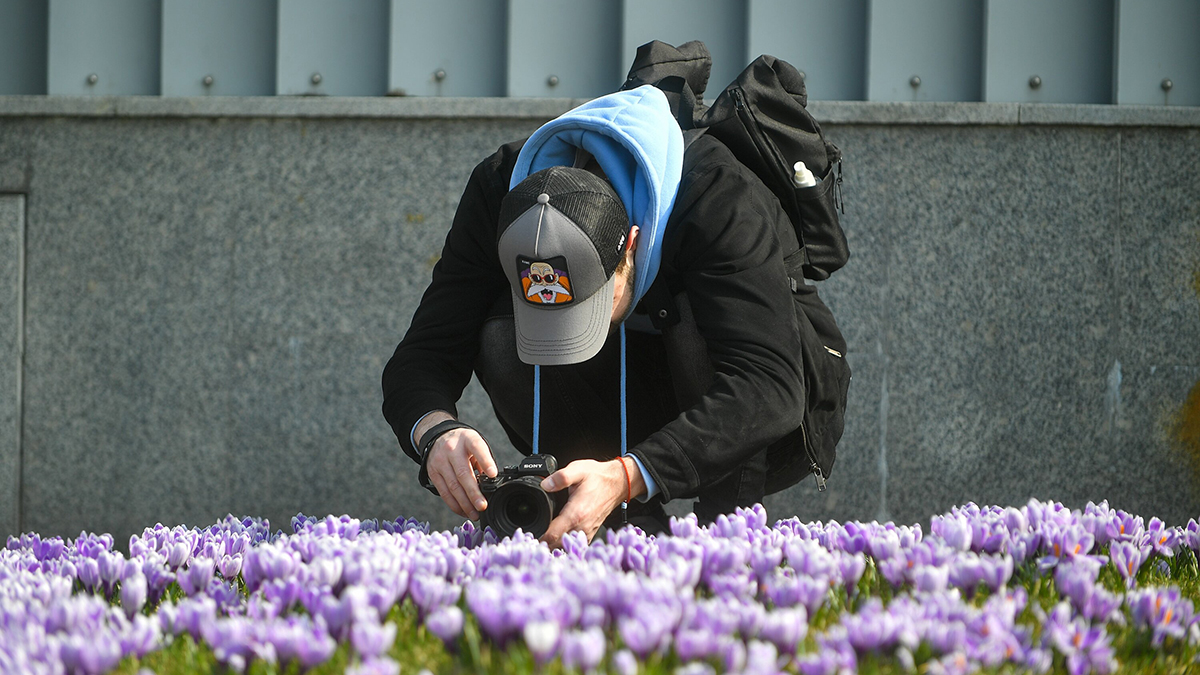 Синоптик Тишковец рассказал, когда в Москву придет летняя погода