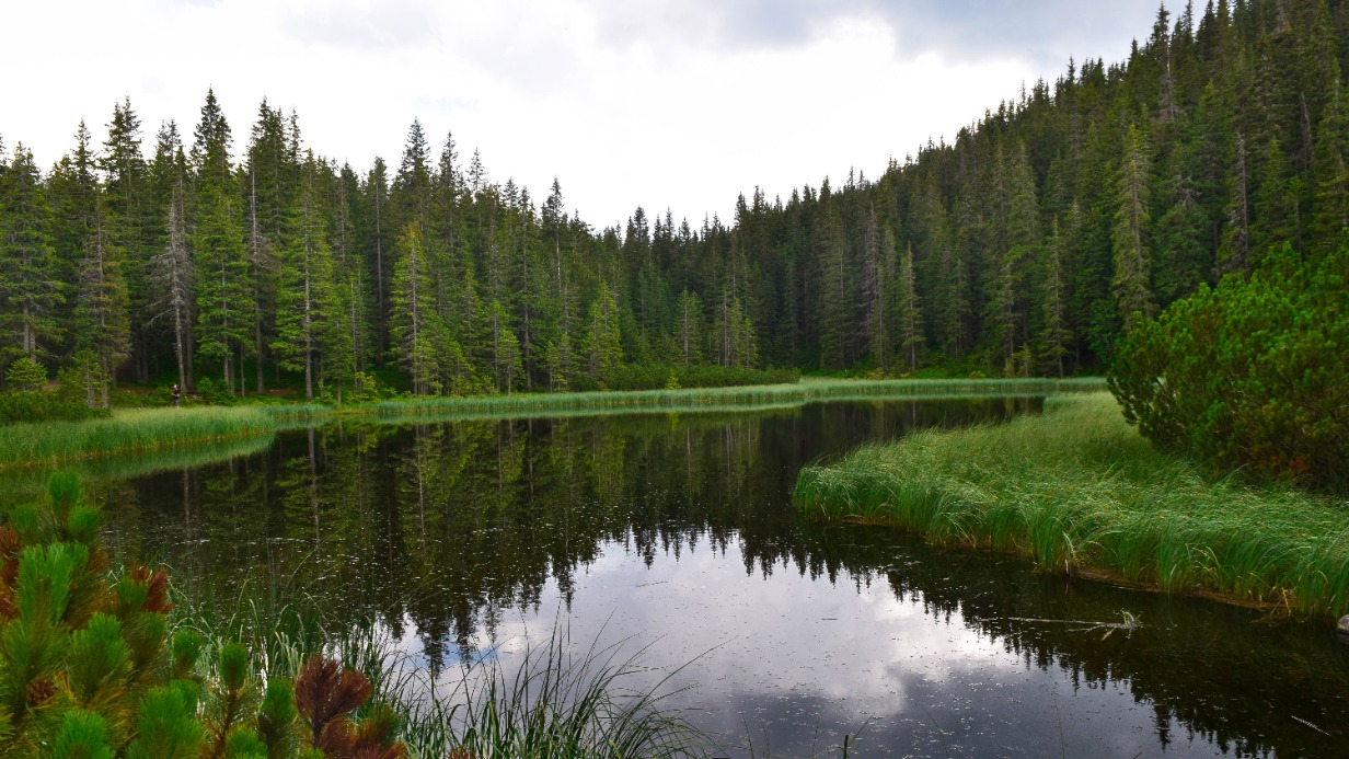 Народный календарь. Как умилостивить водяного на Никиту Водопола, 16 апреля
