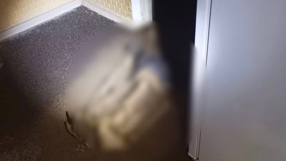 Скелет человека обнаружили в квартире жилого дома на Дубнинской улице в Москве